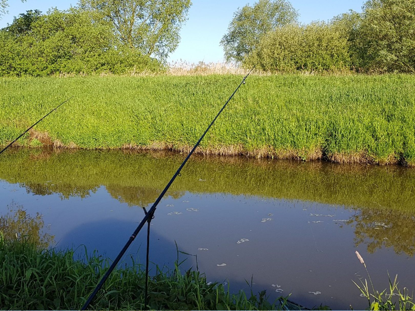 Hunte (Hunteburg-Ochsenmoor) angeln