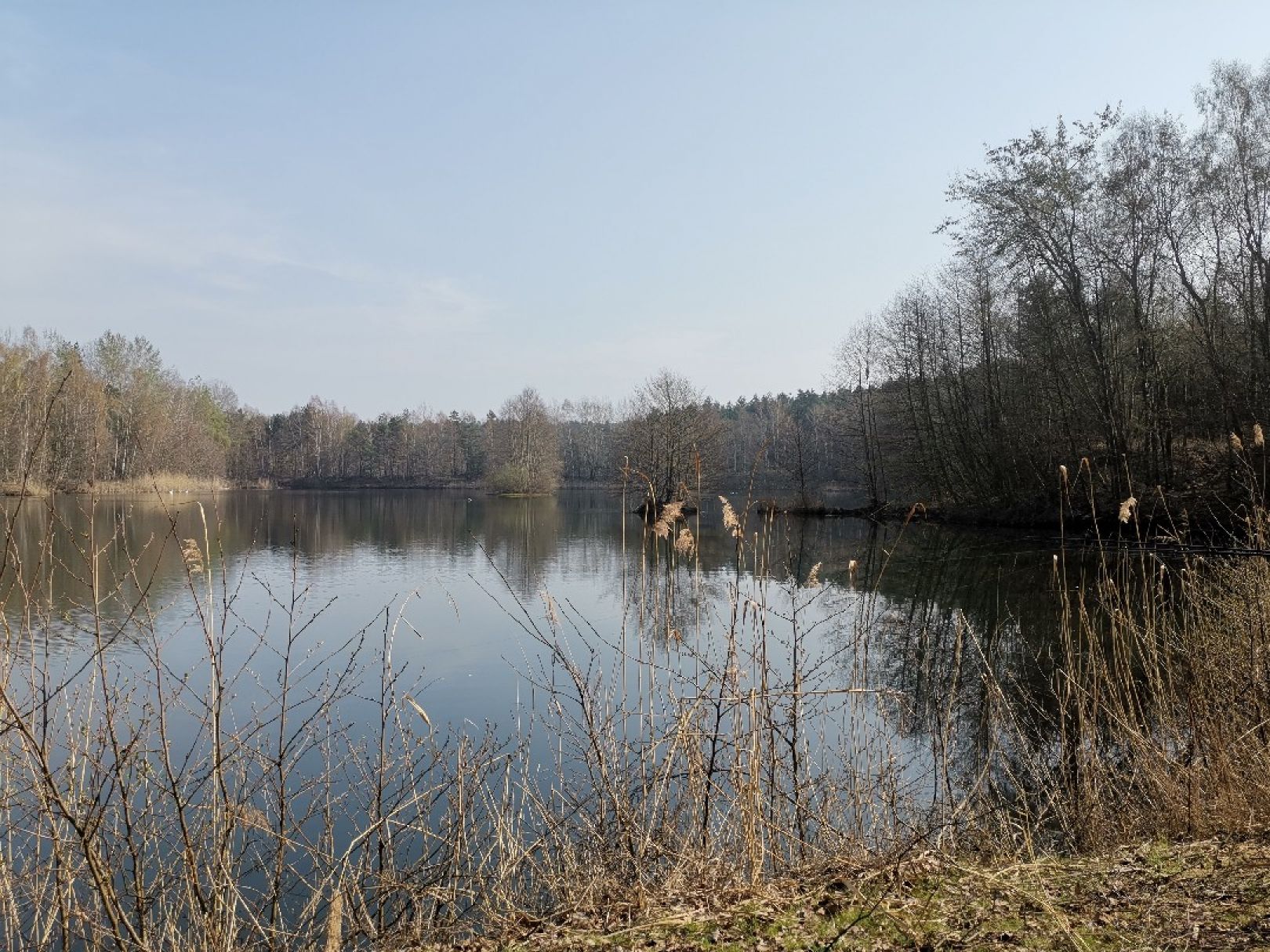 Vierhöfen (ASV Harburg-Wilhemsburg) angeln