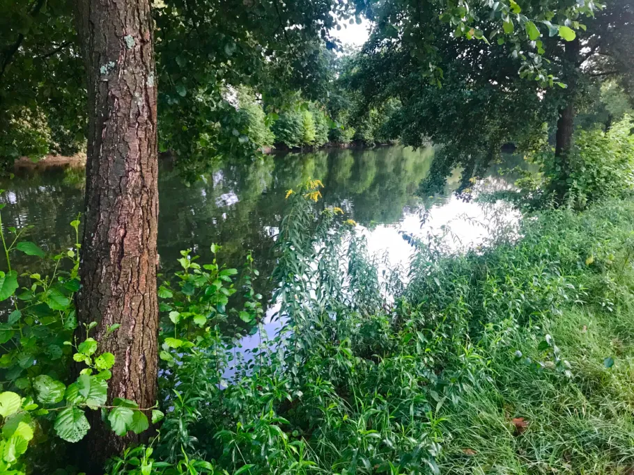 Panzergräben Kork angeln