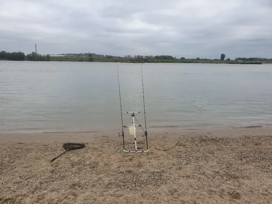 Rhein (Griethausen) angeln