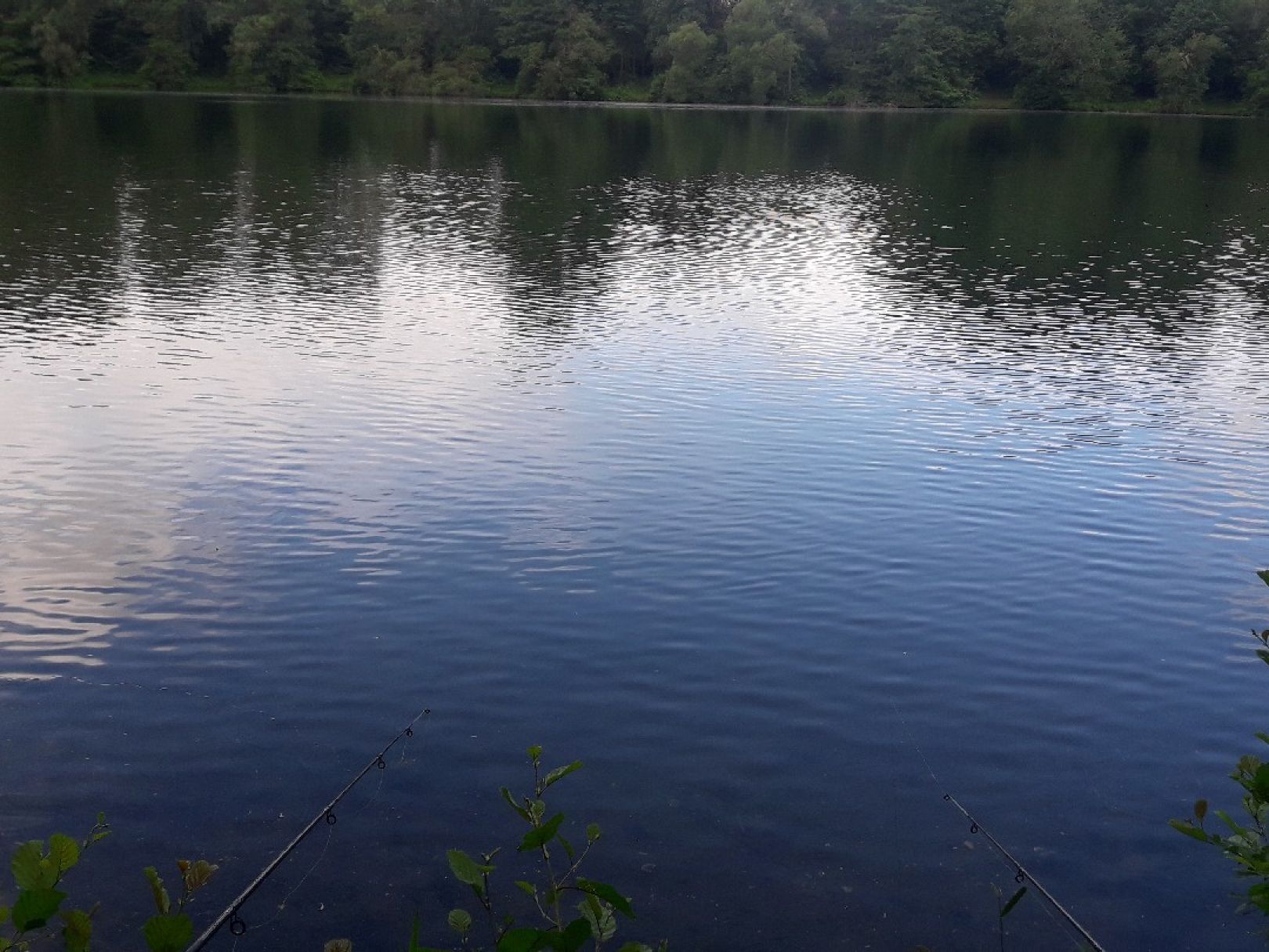 Werresiek (Waddenhauser See) angeln