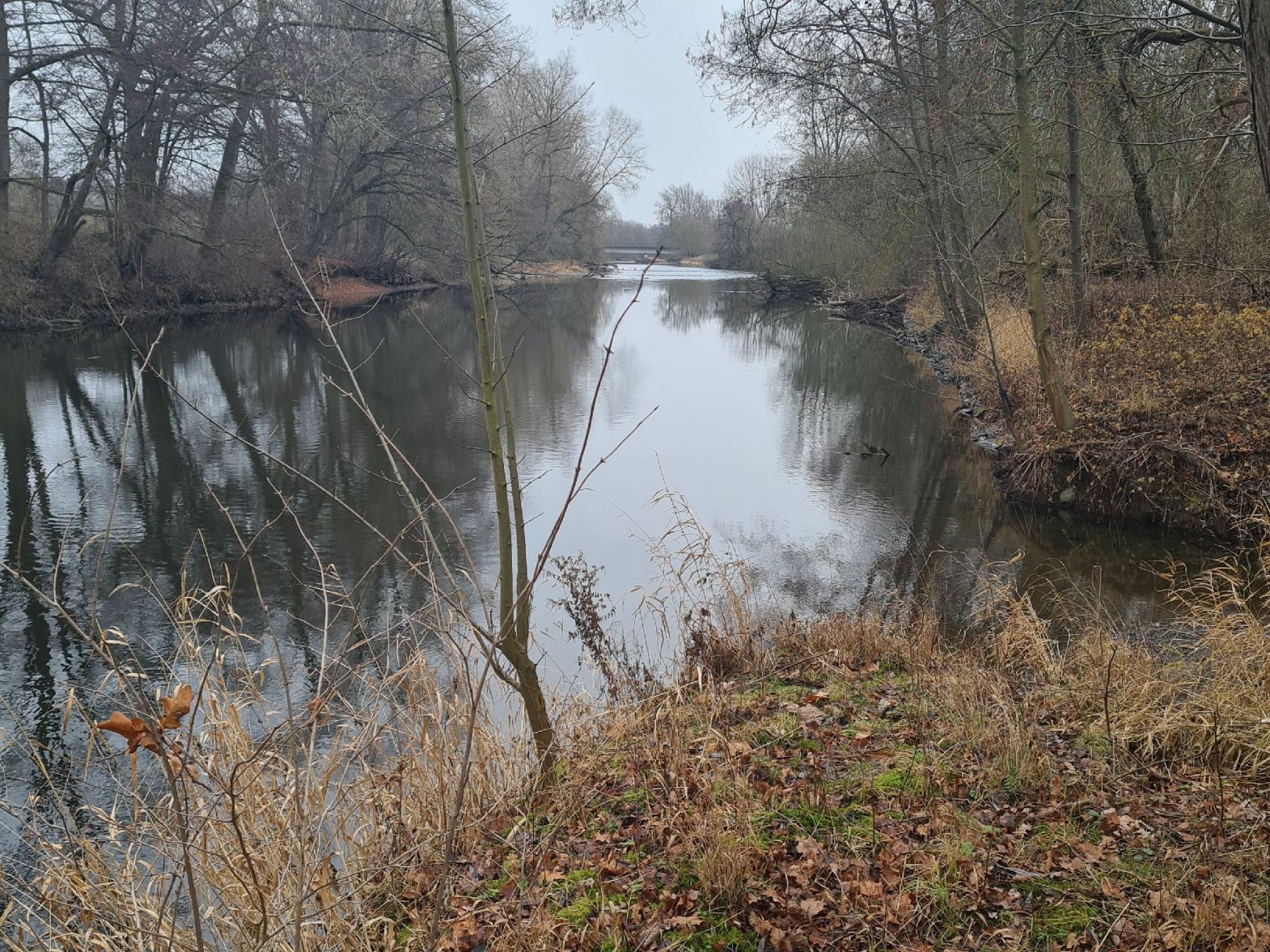 Angeln in Borken (Hessen)