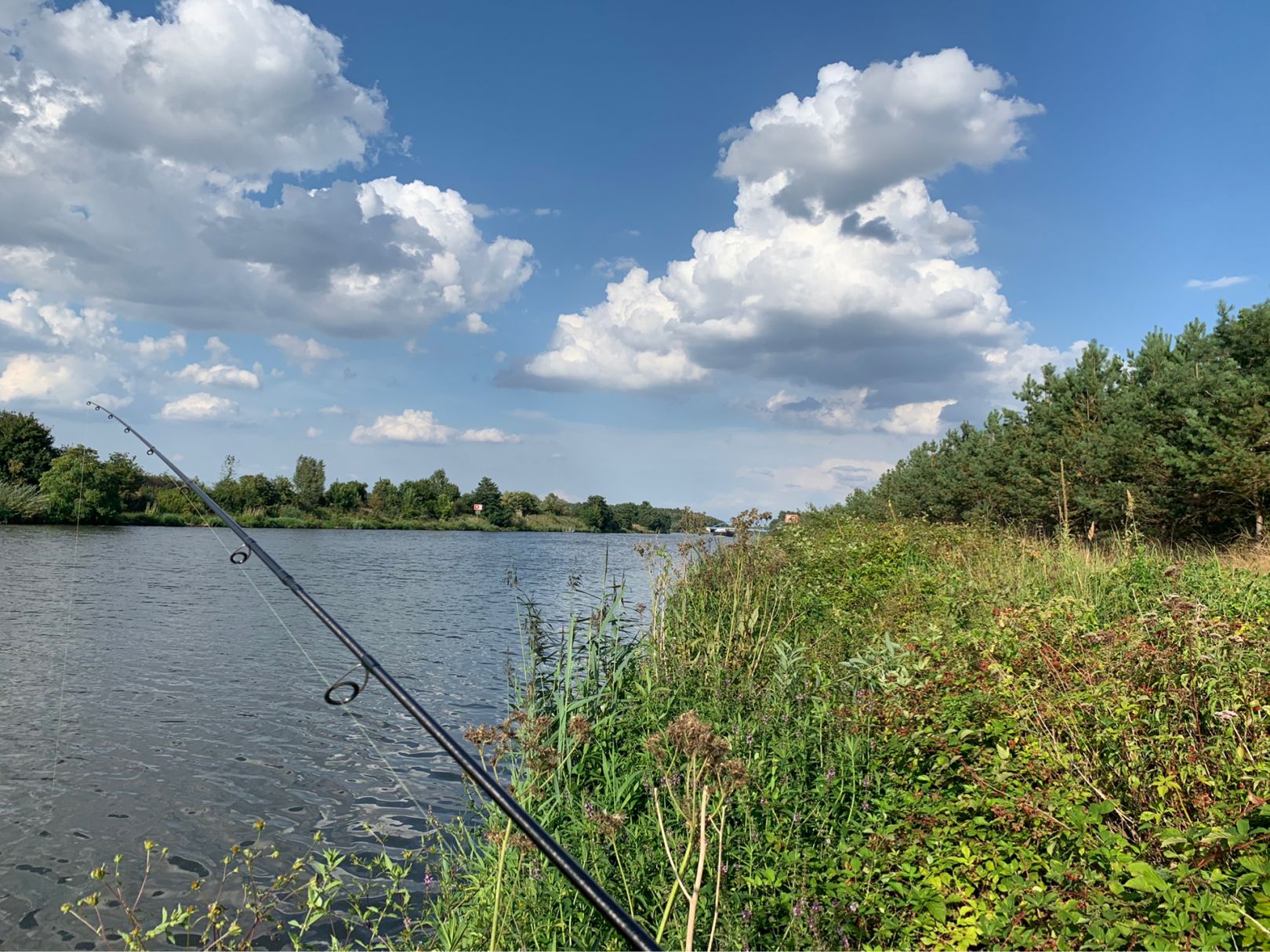 Elbe-Havel-Kanal (Burg) angeln