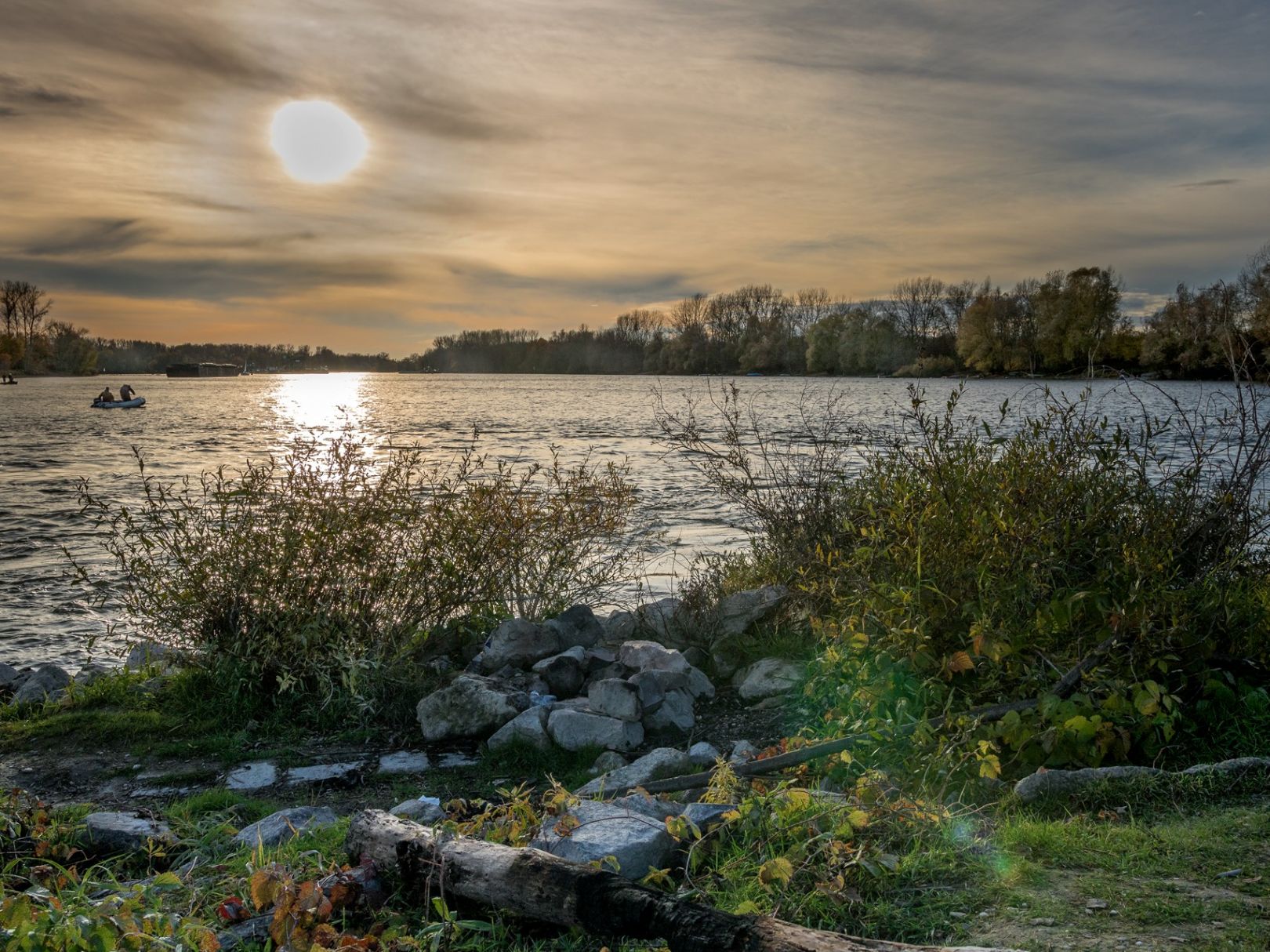 Rhein (Mannheim/Ludwigshafen) angeln