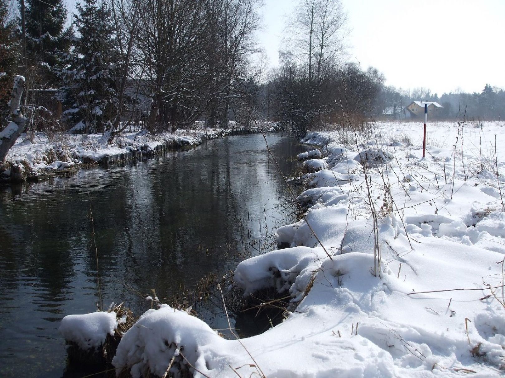 Angeln in Anzinger Forst