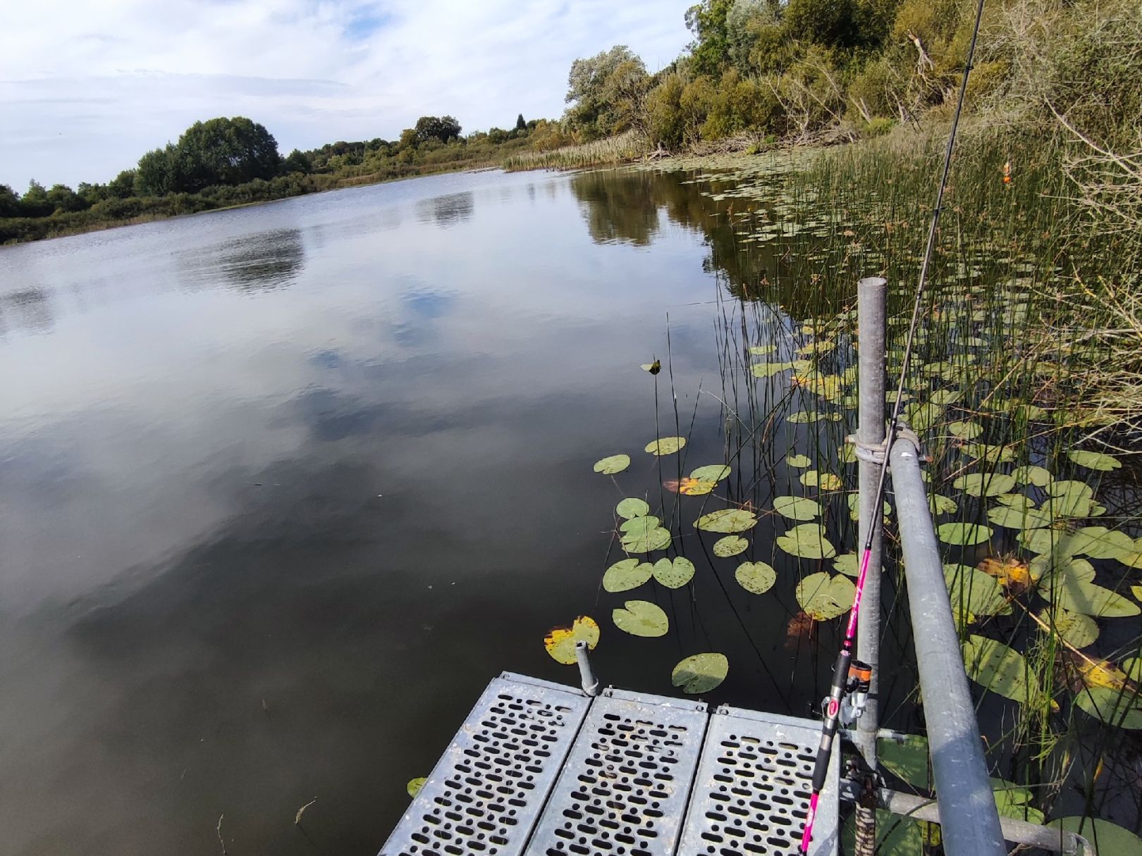 Horster See (Horst) angeln