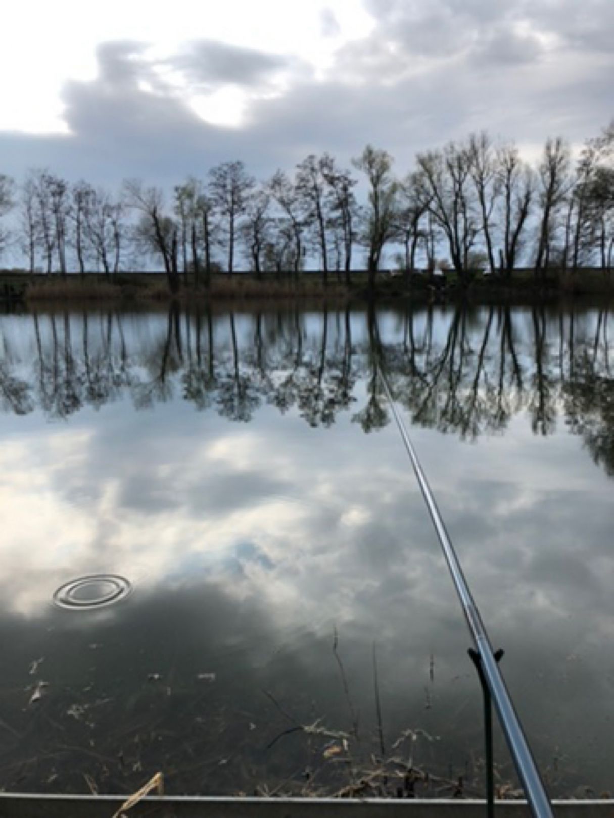 Kiessee Rangsdorf angeln