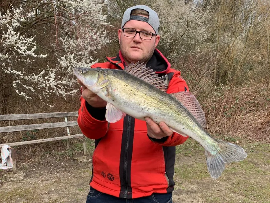 Freibad Vingst angeln