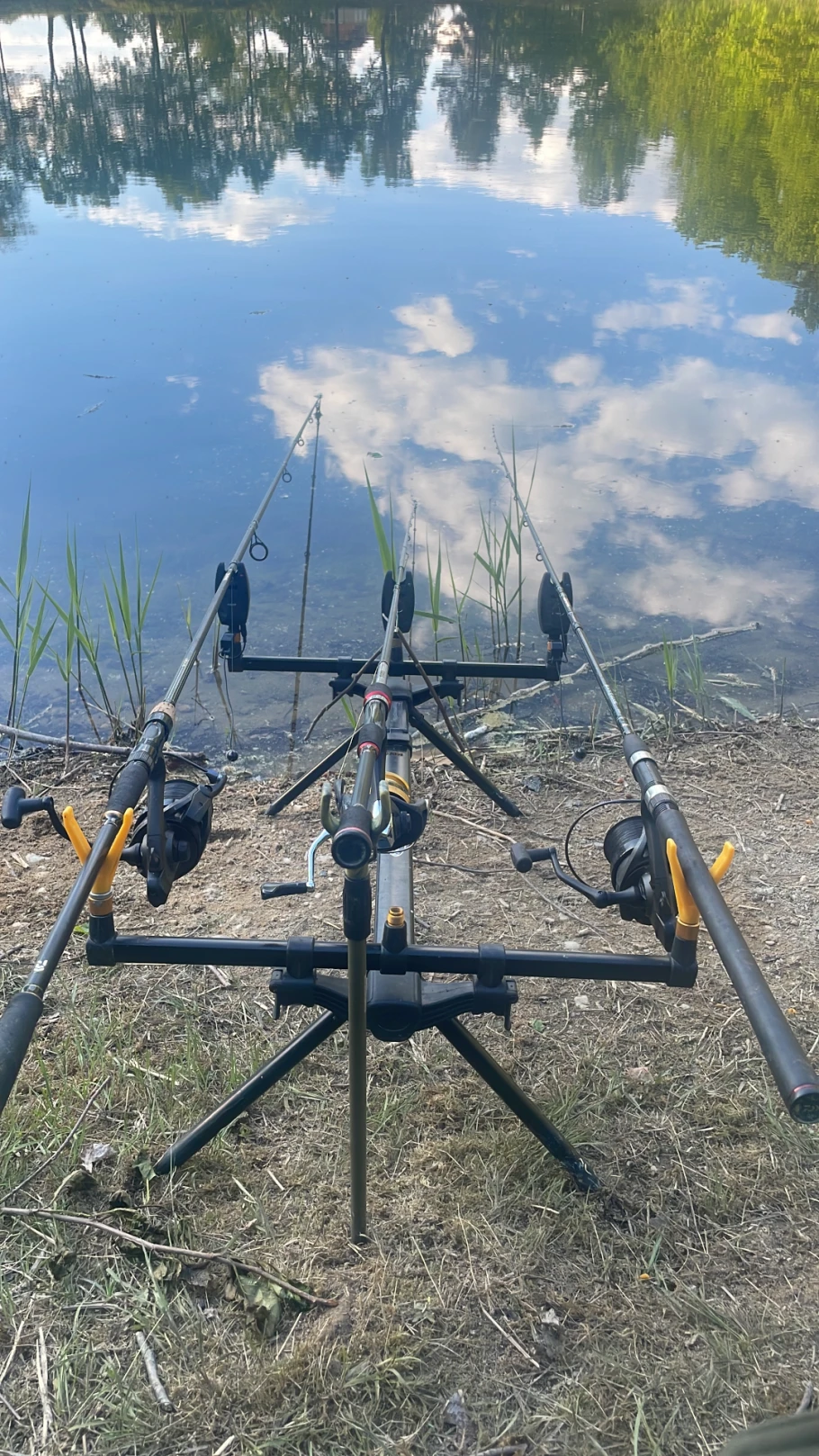Blaue Adria (Crosta) angeln