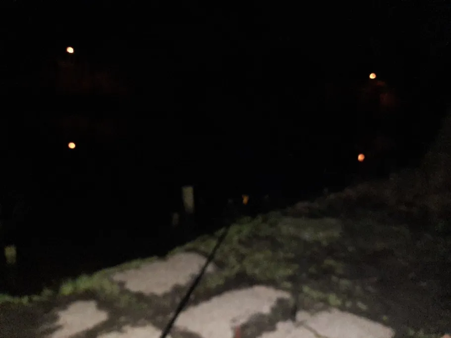 Teichanlage Ossenpadd angeln