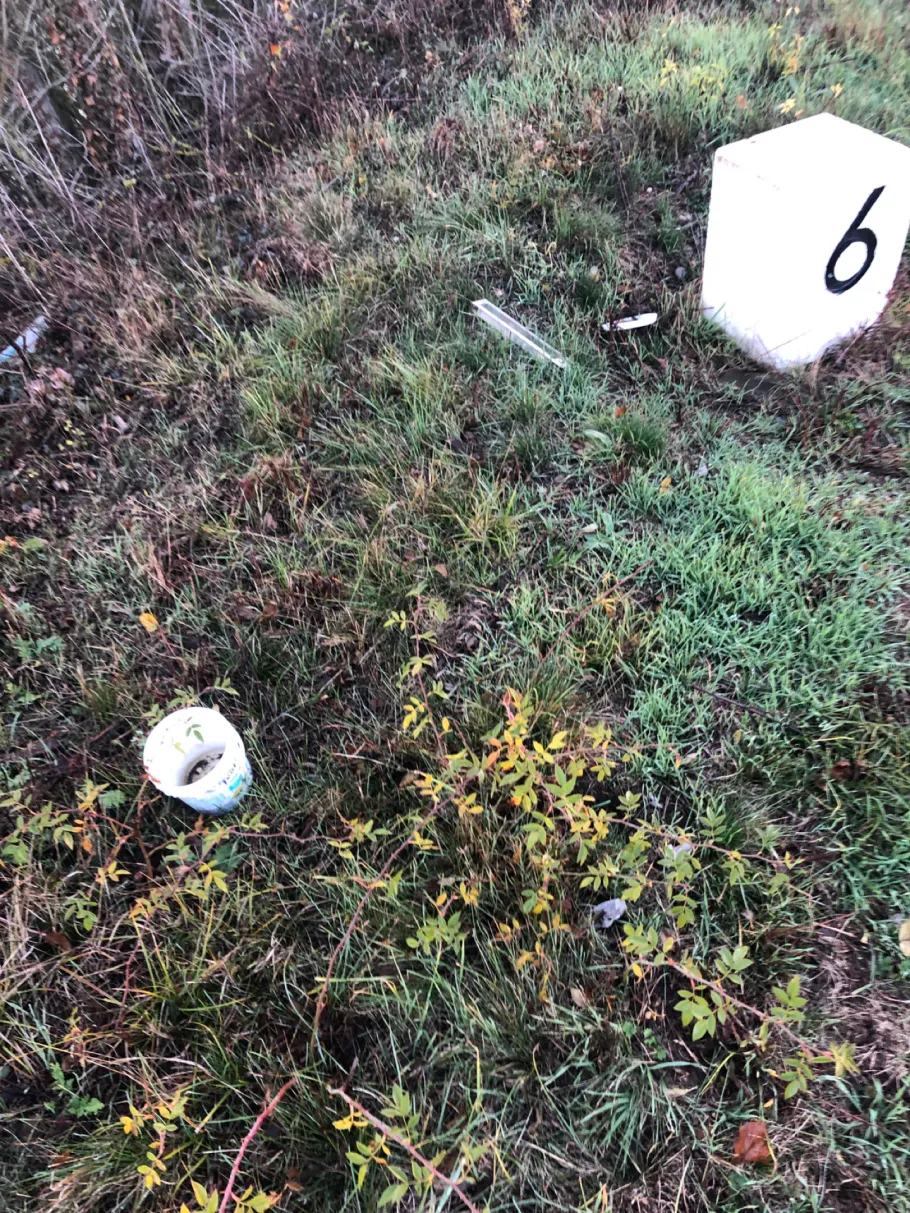 Main (Haßfurt) angeln