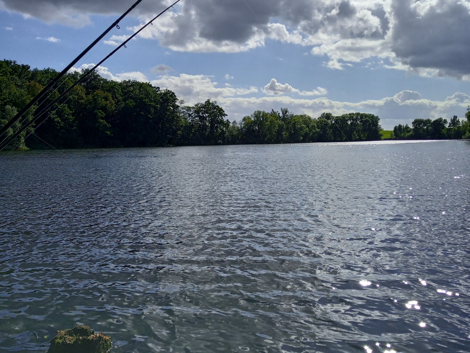 Briesensee (Schwedt) angeln