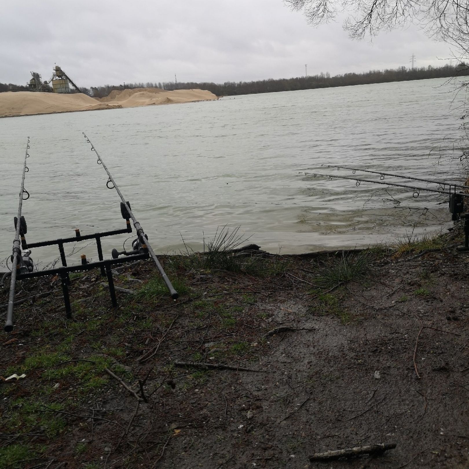 Baggersee Steinbergen angeln