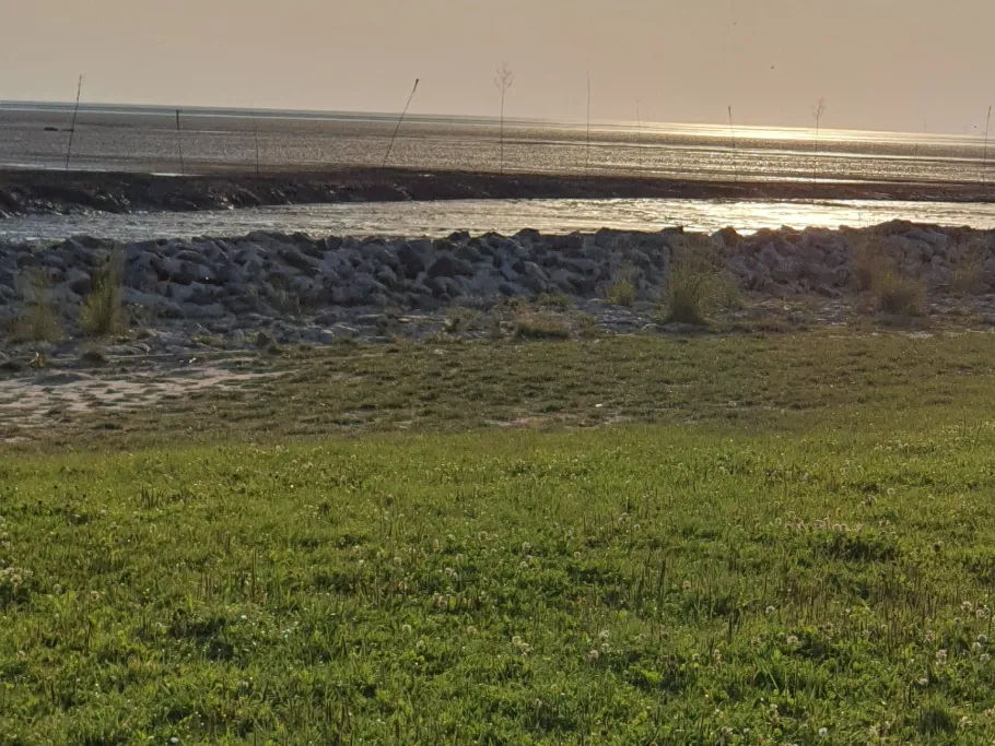 Nordsee (Dorum-Neufeld) angeln