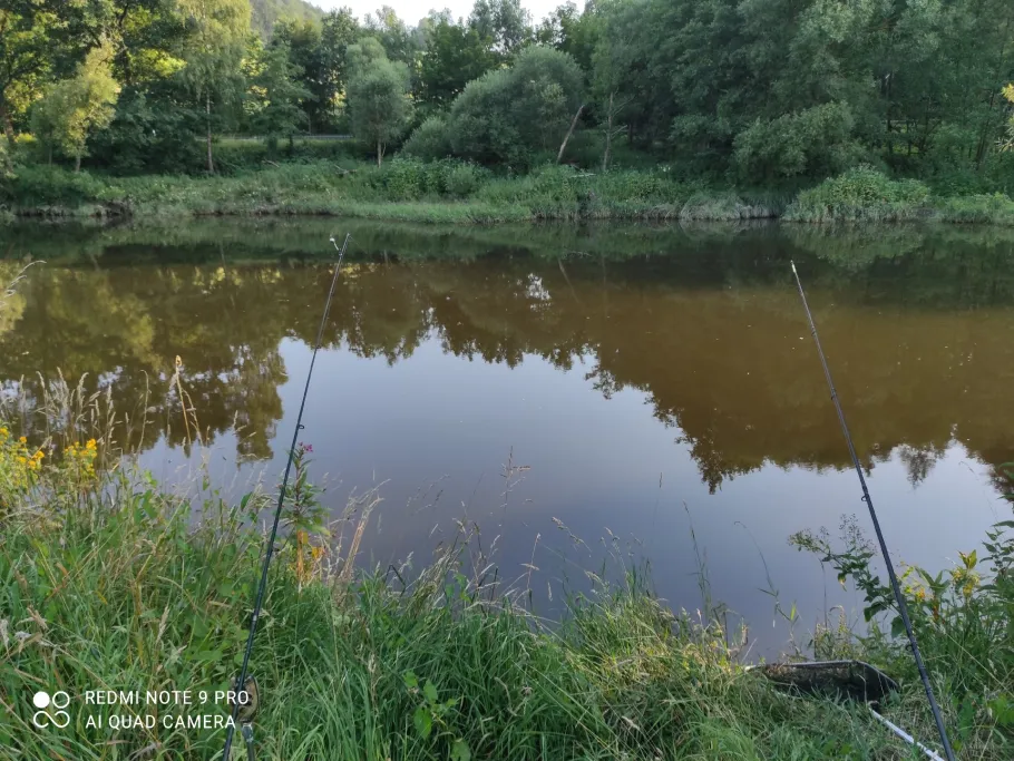 Regen (Chamerau) angeln