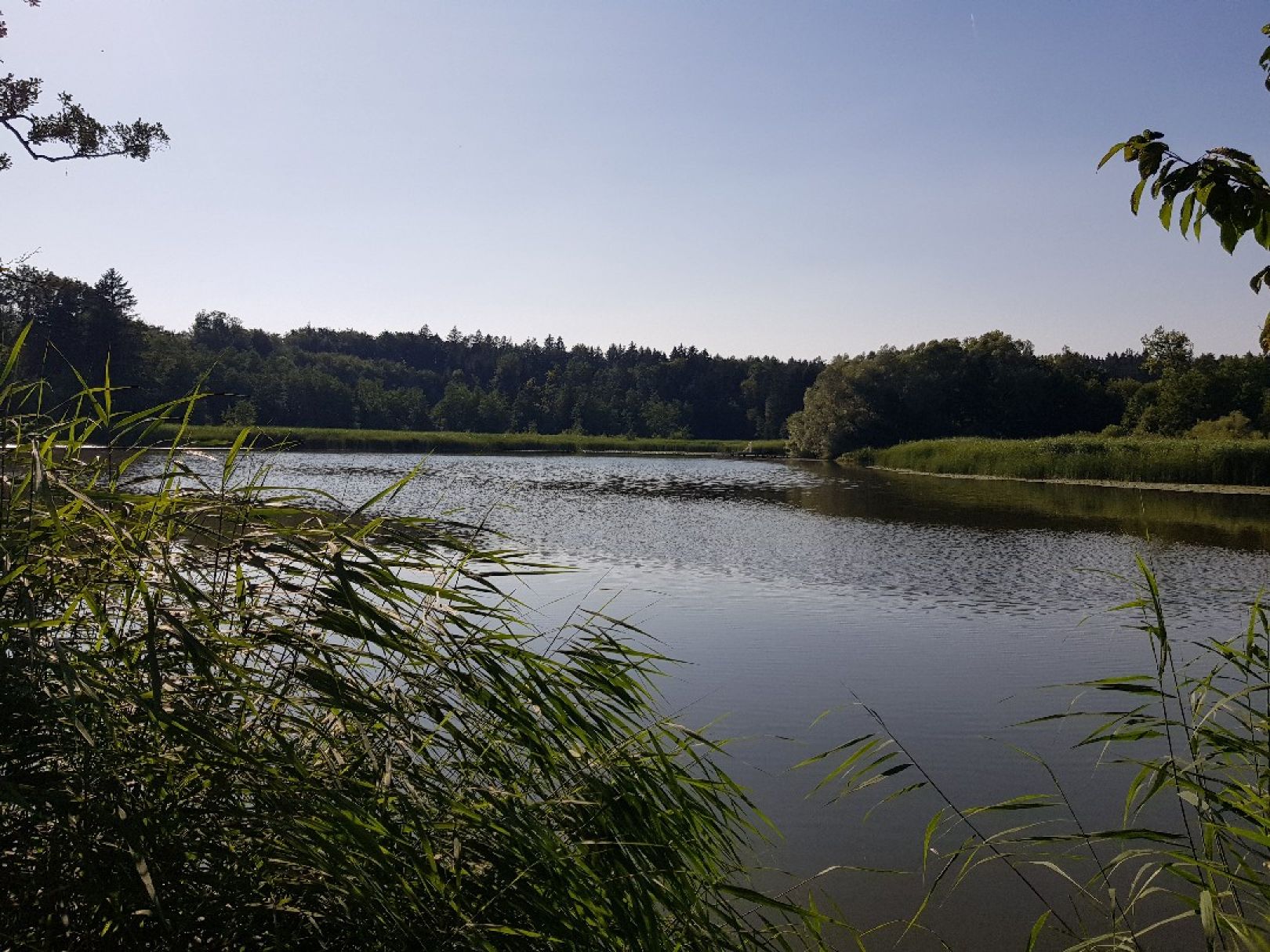 Angeln in Wangen im Allgäu