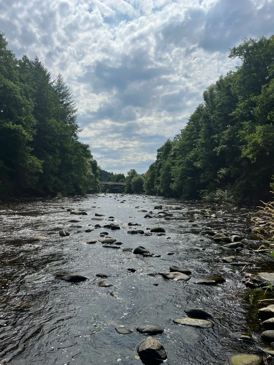 Murg (Schönmünzach) angeln