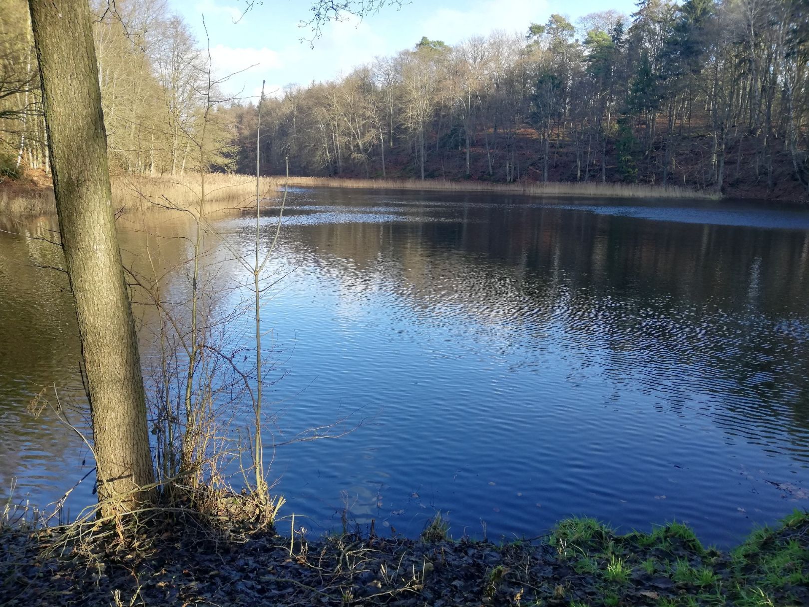 Oberer Voigtsdorfer Teich angeln