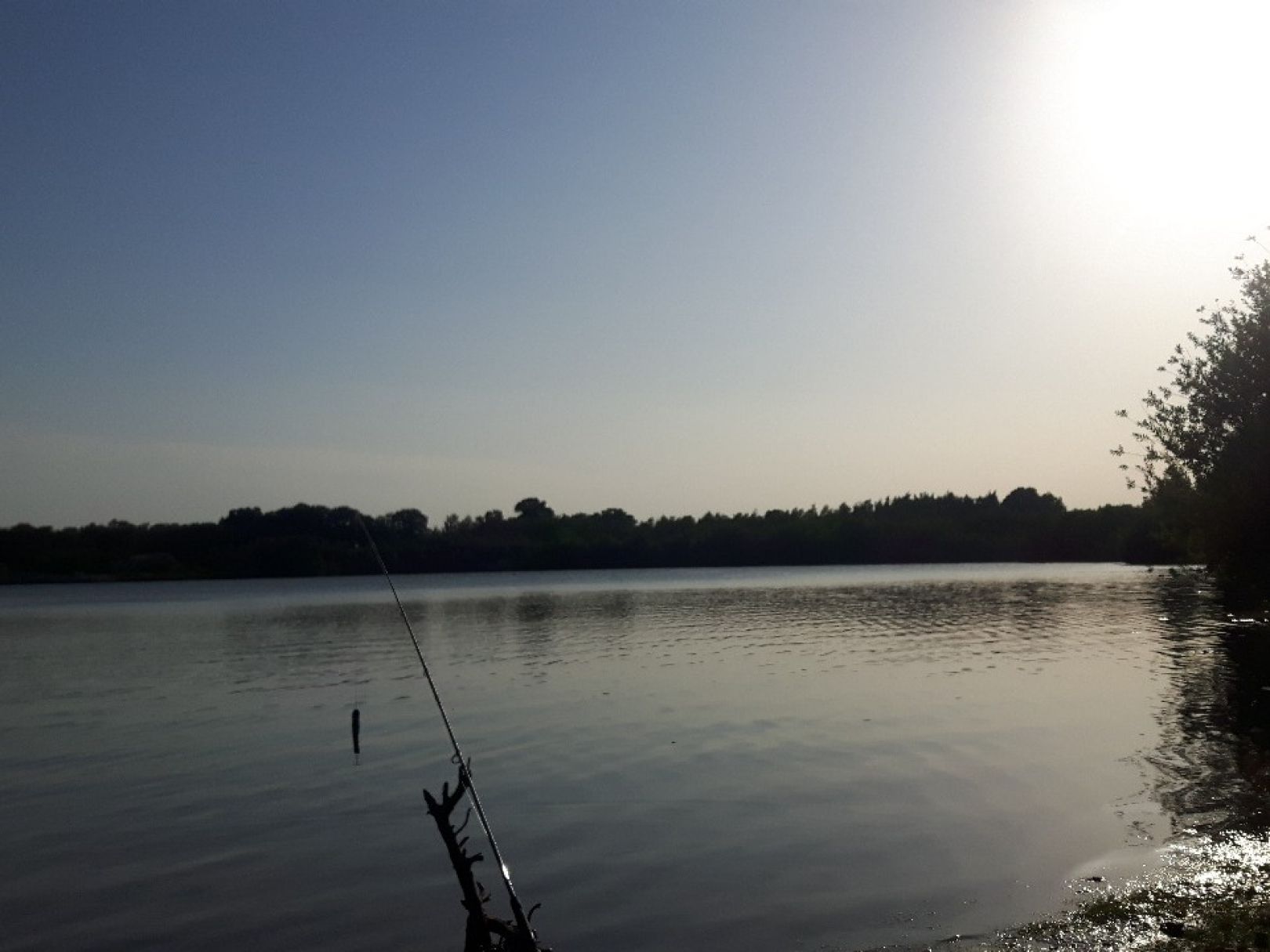 Merschsee (Löningen) angeln