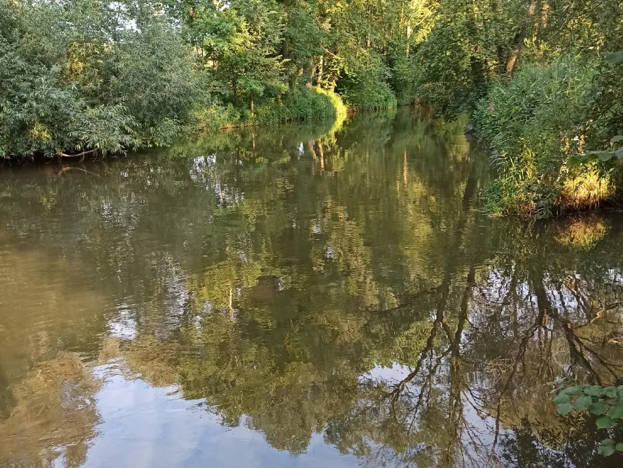 Günz (Kötz) angeln