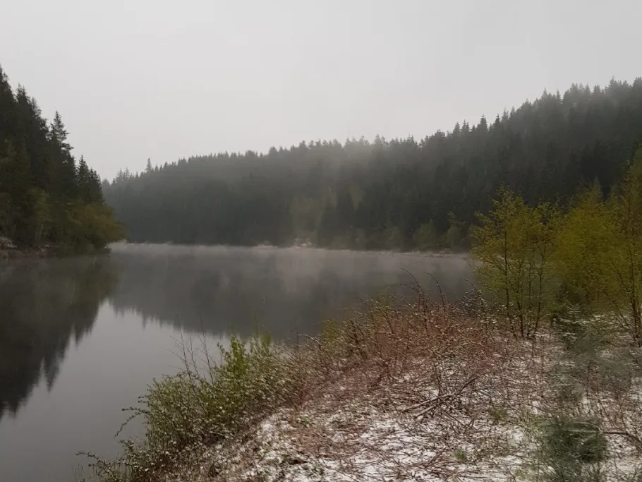 Talsperre Eibenstock angeln