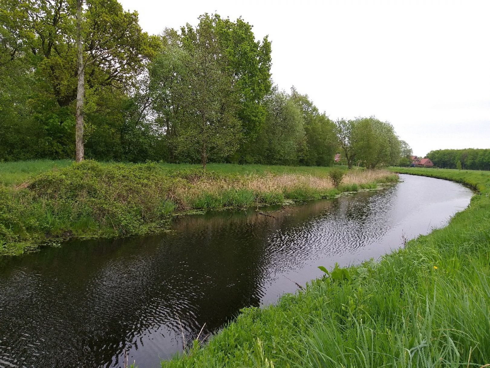 Ringkanal (Südbrookmerland) angeln