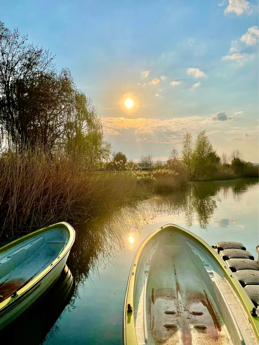 Werratalsee (Eschwege) angeln
