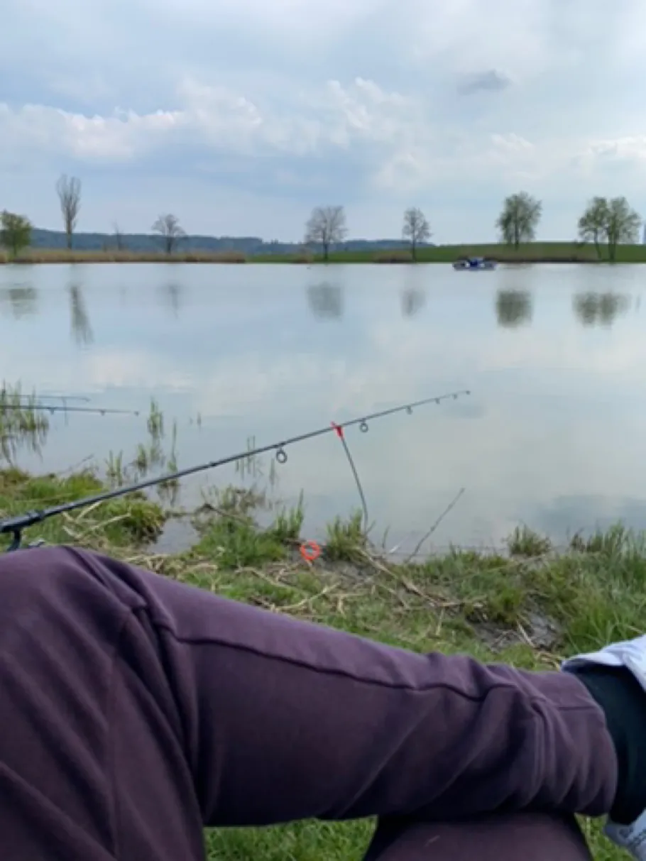 Pappelsee (Dietingen) angeln