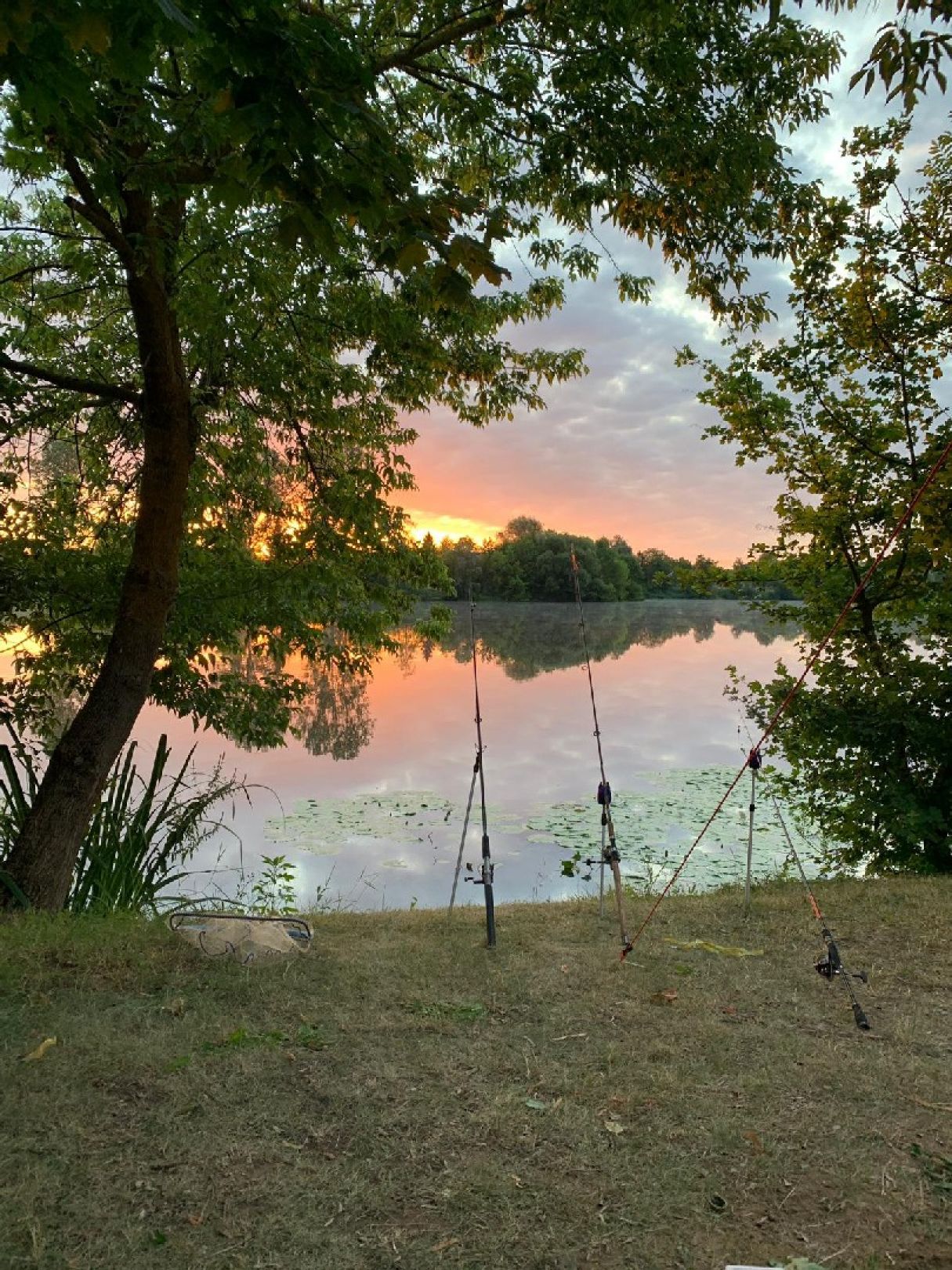 Camping Katzenkopf angeln