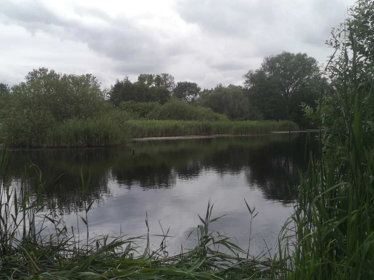 Pfaffenteich (Güstrow) angeln