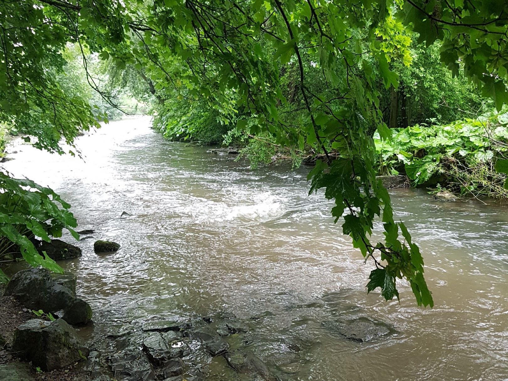 Röhr (Hachen) angeln