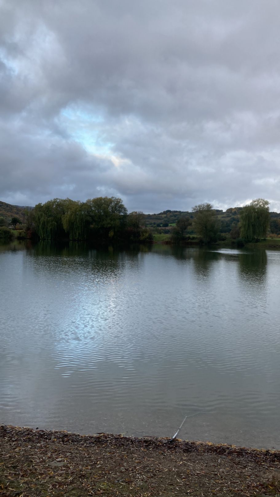 Teich 8 (ASV Eschwege) angeln