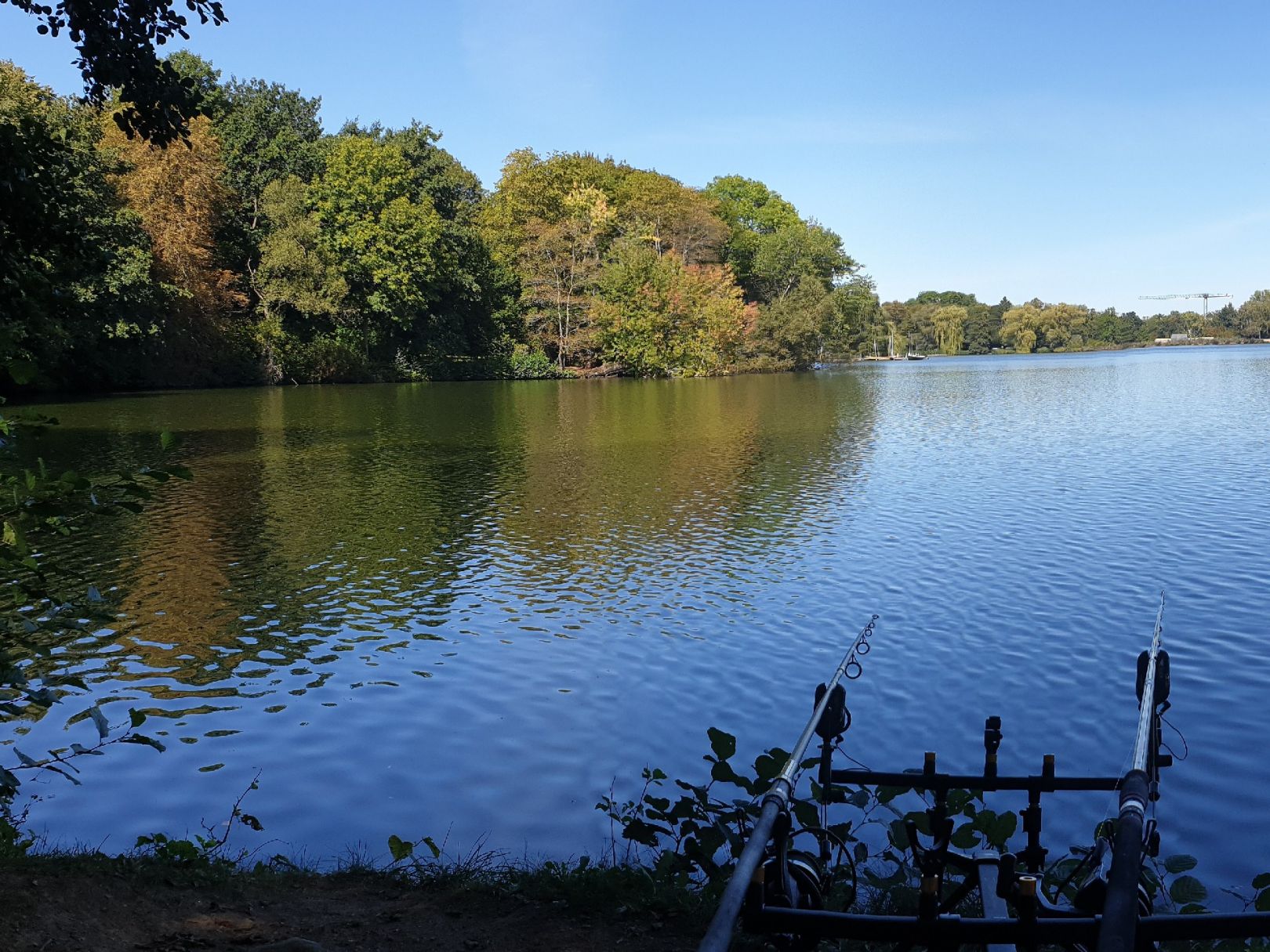 Schwanenteich (Zwickau) angeln