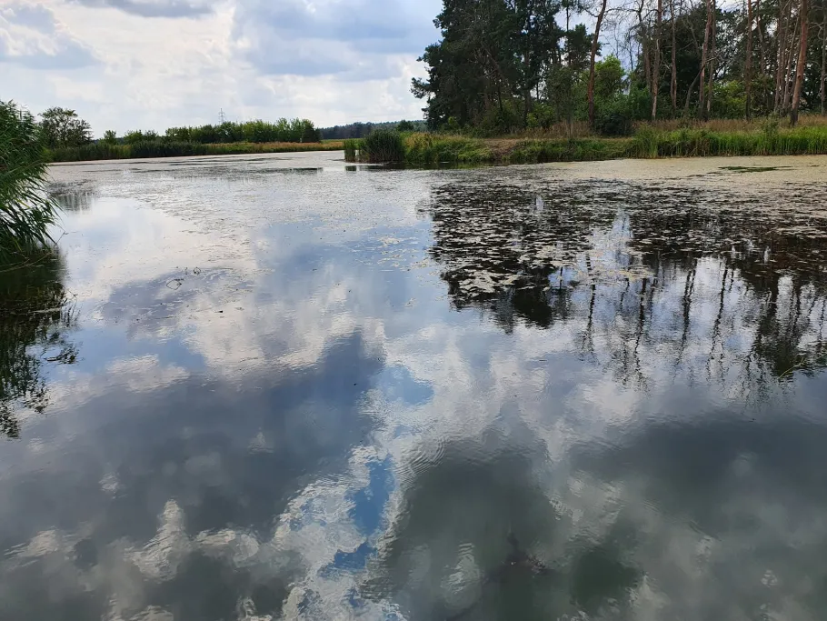 Schöpfwerk (Frauenhorst) angeln