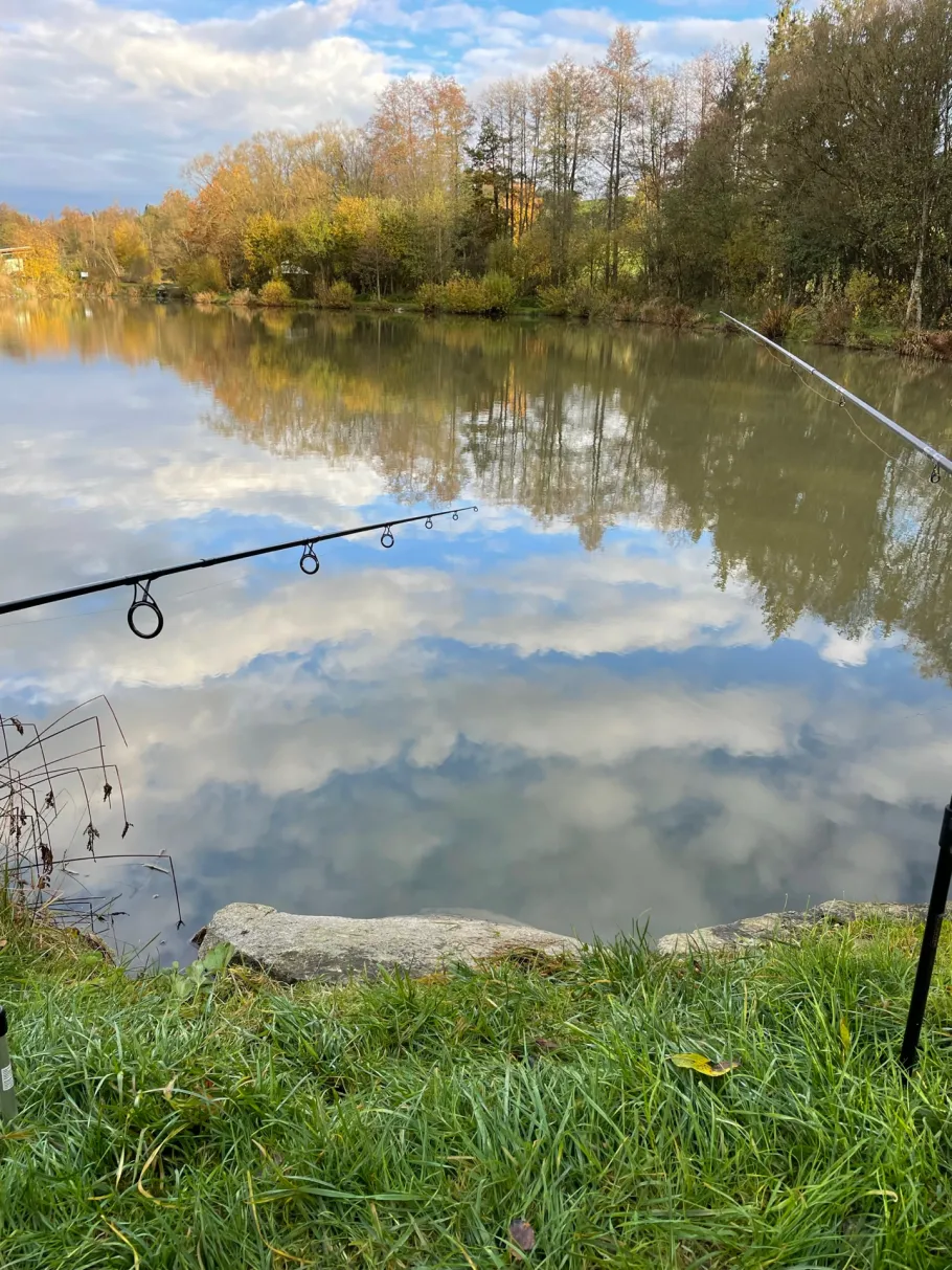 Bichlwaldweiher angeln
