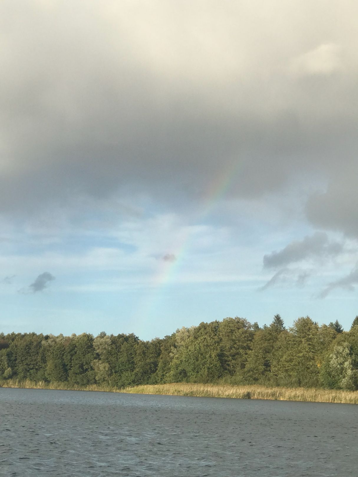 Langer See (Weisdin) angeln