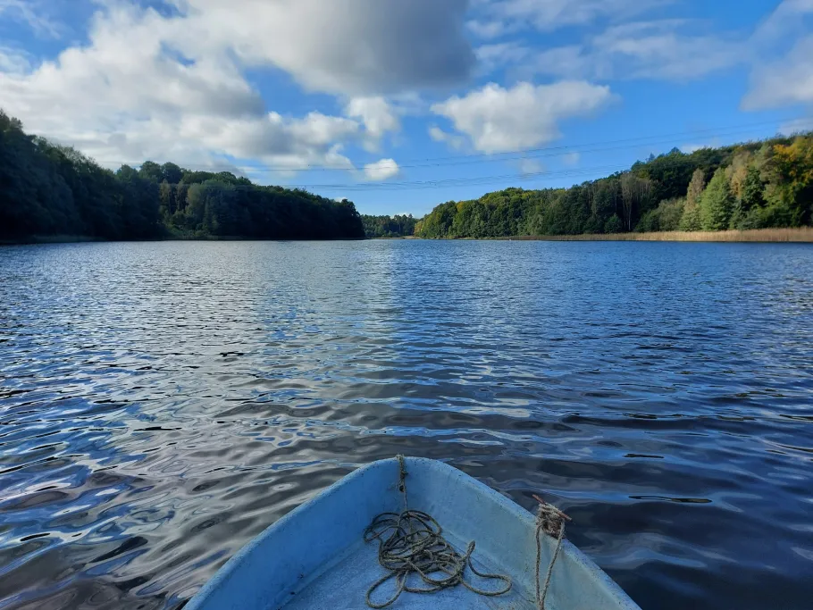 Langer See (Weisdin) angeln