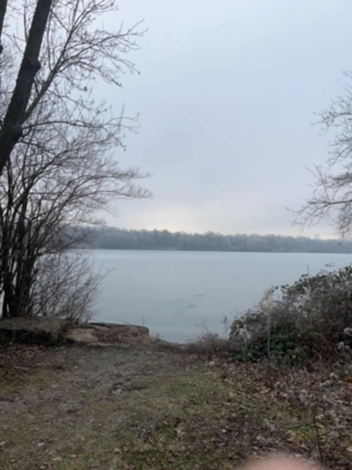 Max-Eyth-See (Stuttgart) angeln