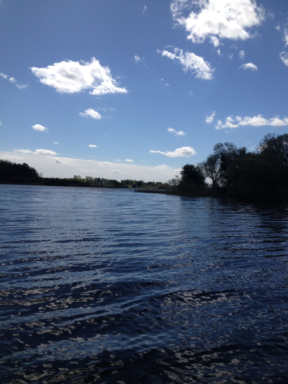 Großer See (Fürstenwerder) angeln