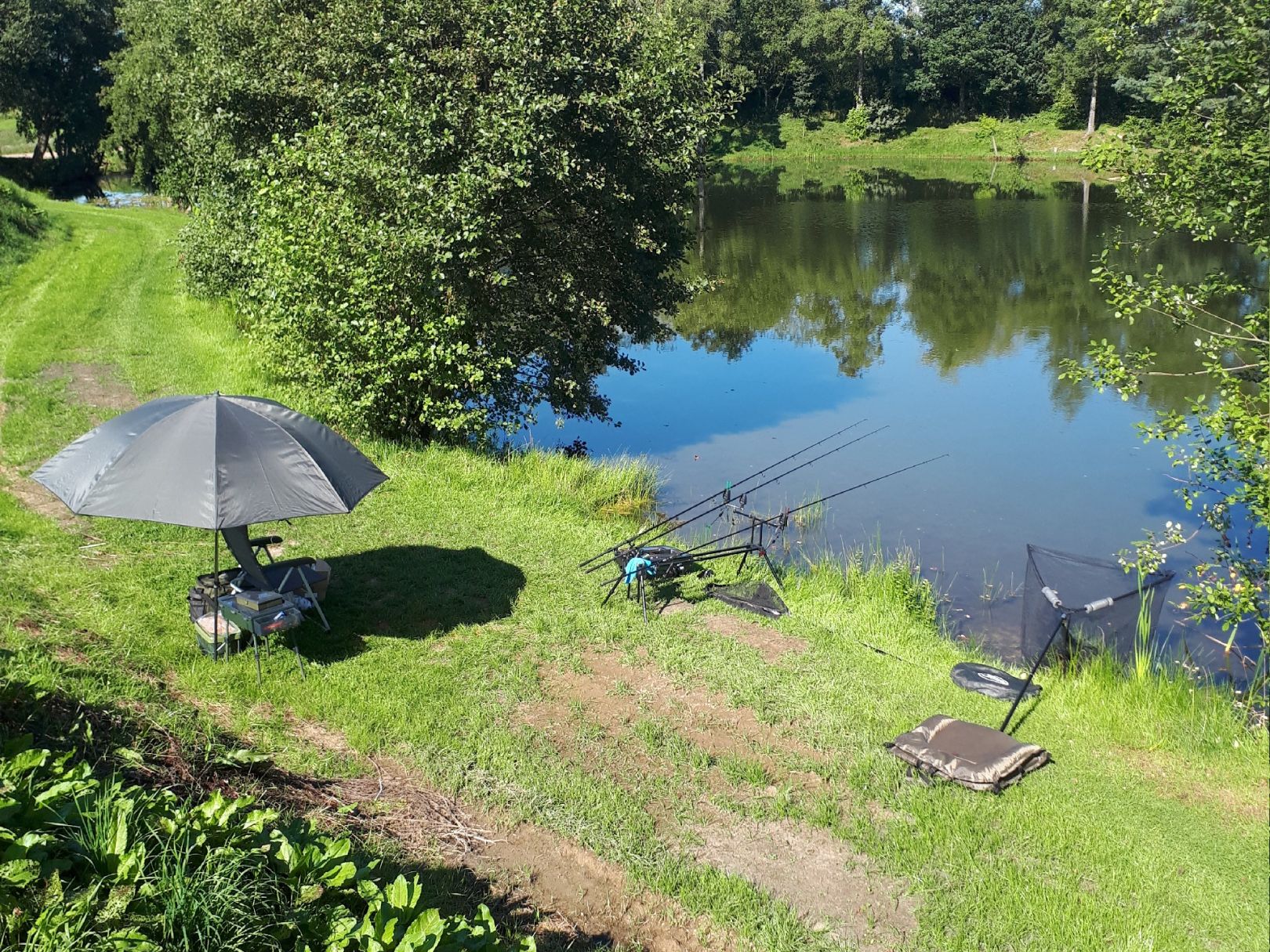 Dodenburger Weiher angeln