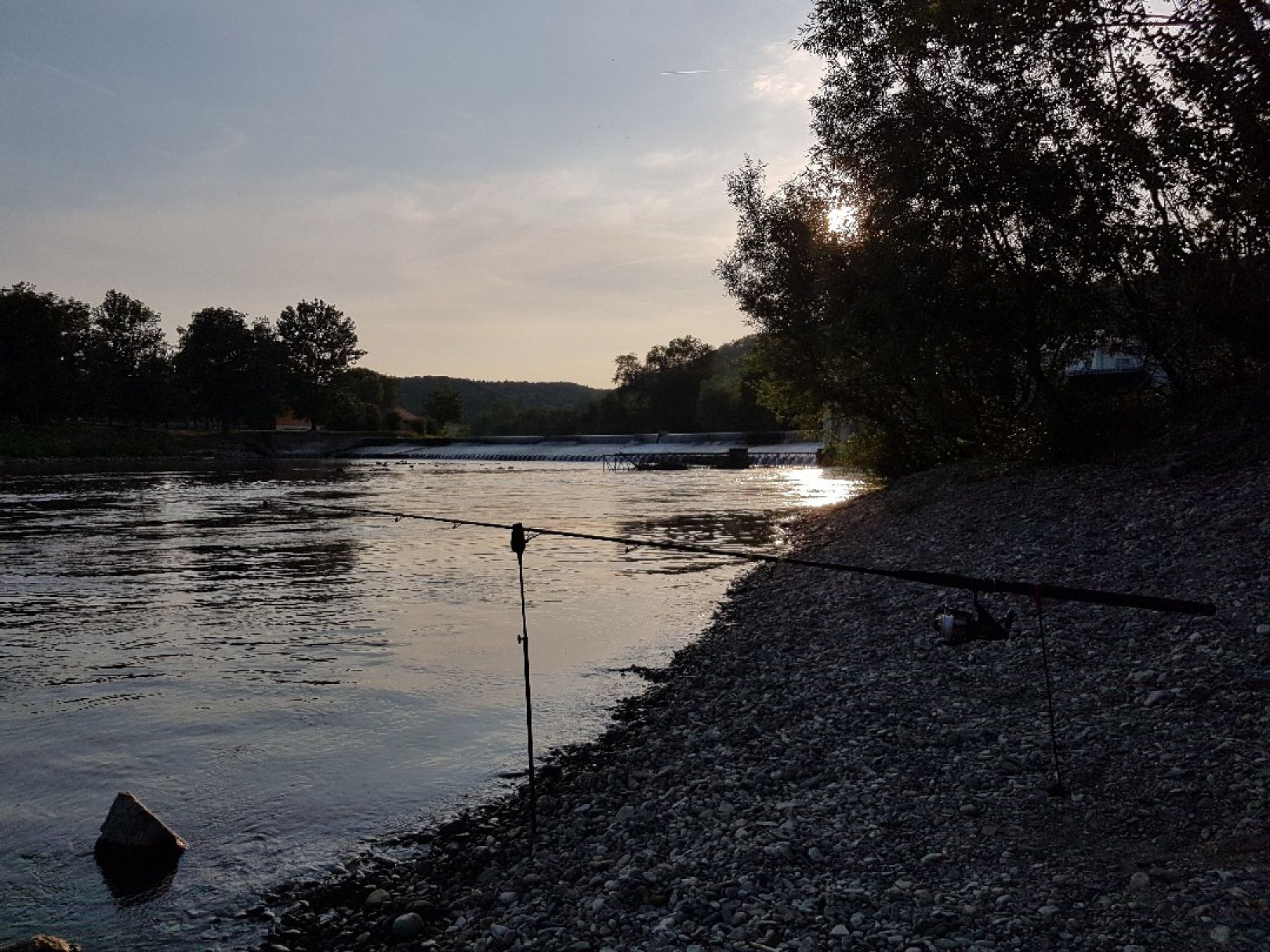 Saale (Leißling) angeln