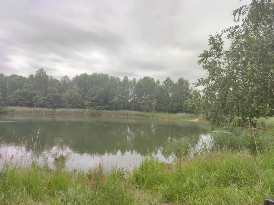 Tongrube (Abtsdorf) angeln