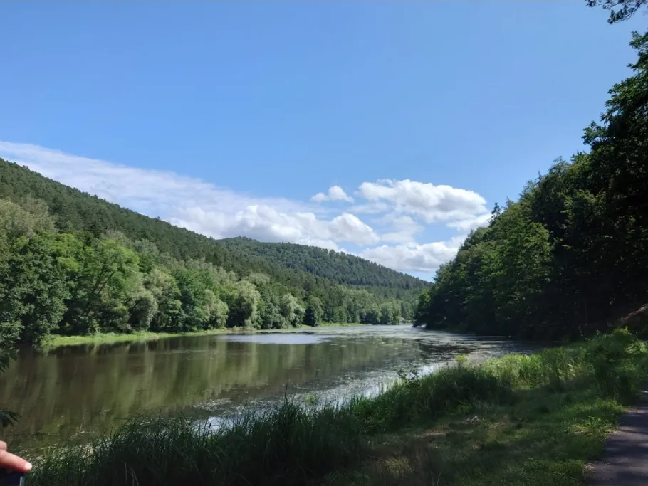 Fleckensteiner Weiher angeln