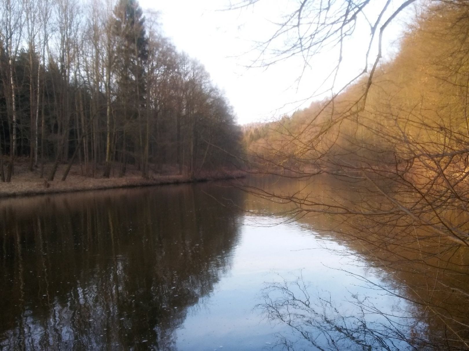 Zwickauer Mulde (Penig) angeln