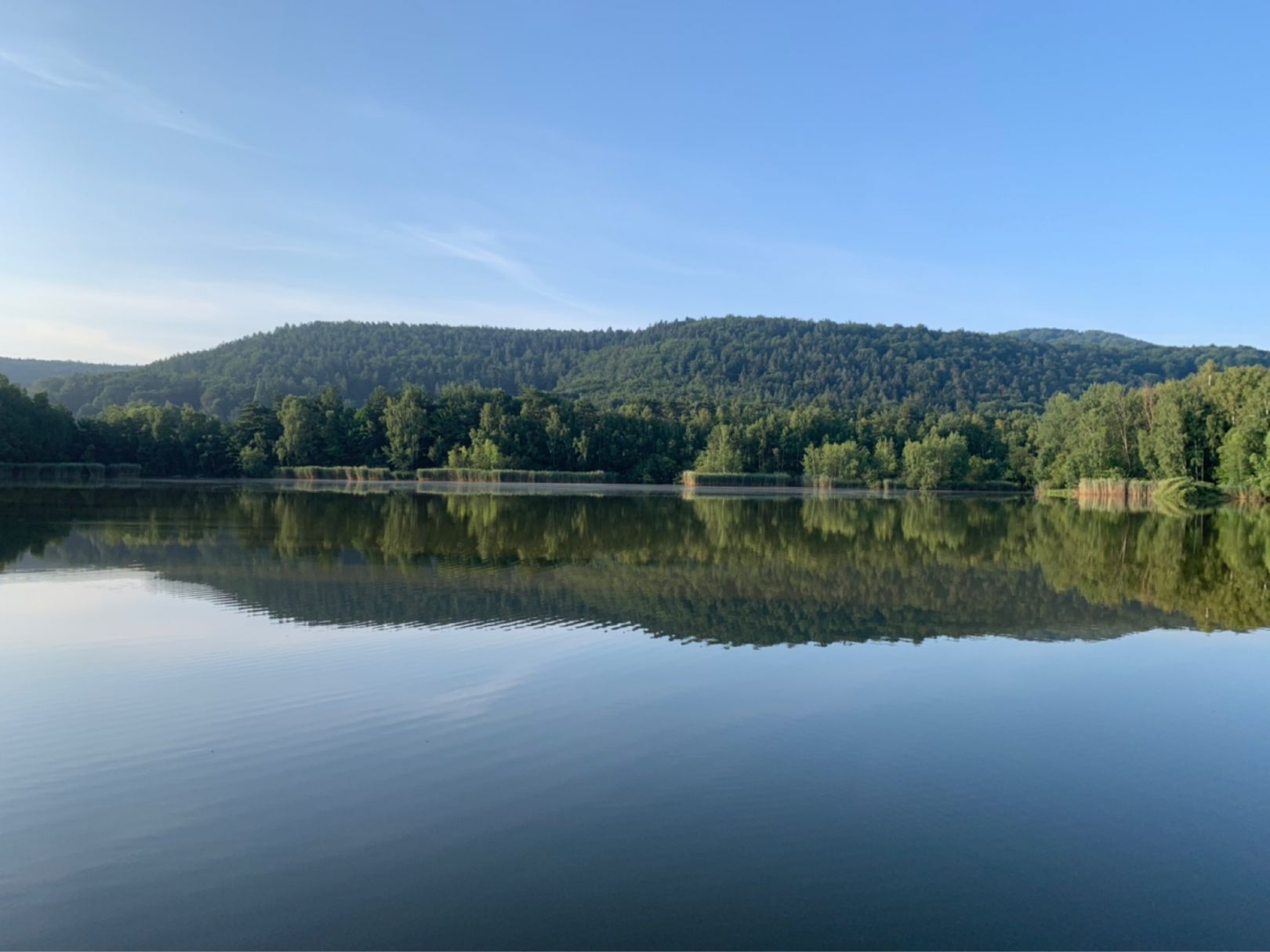 Silbersee (Landstuhl) angeln
