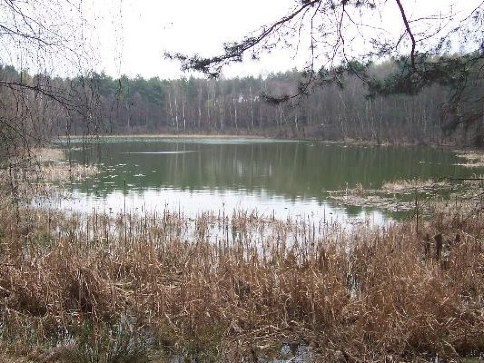 Teufelssee (Dobbrikow) angeln