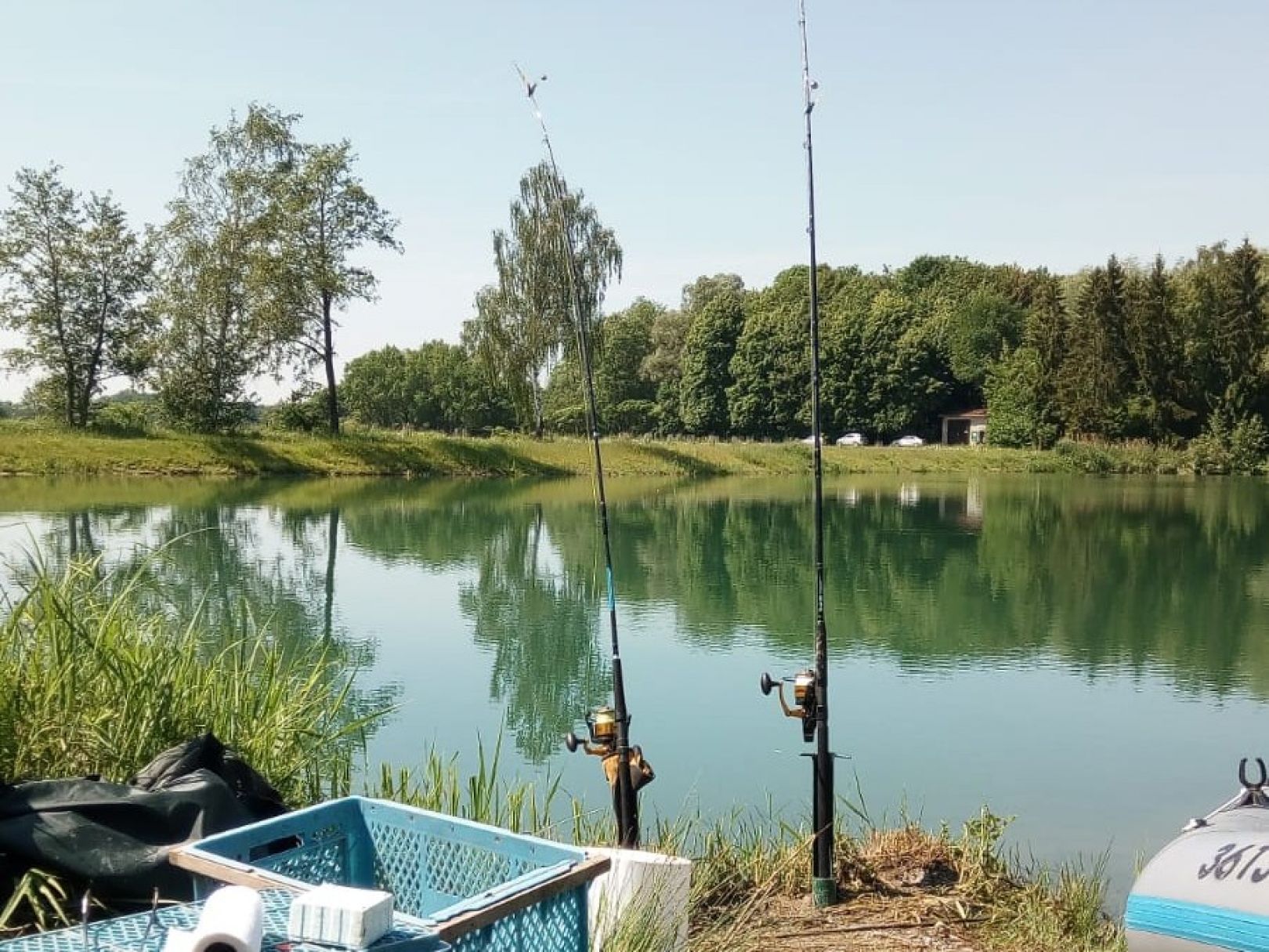 Gemeindeweiher (Binswangen) angeln