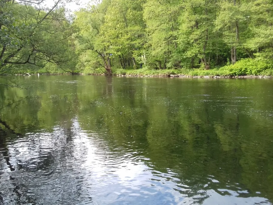 Lenne (Iserlohn) angeln