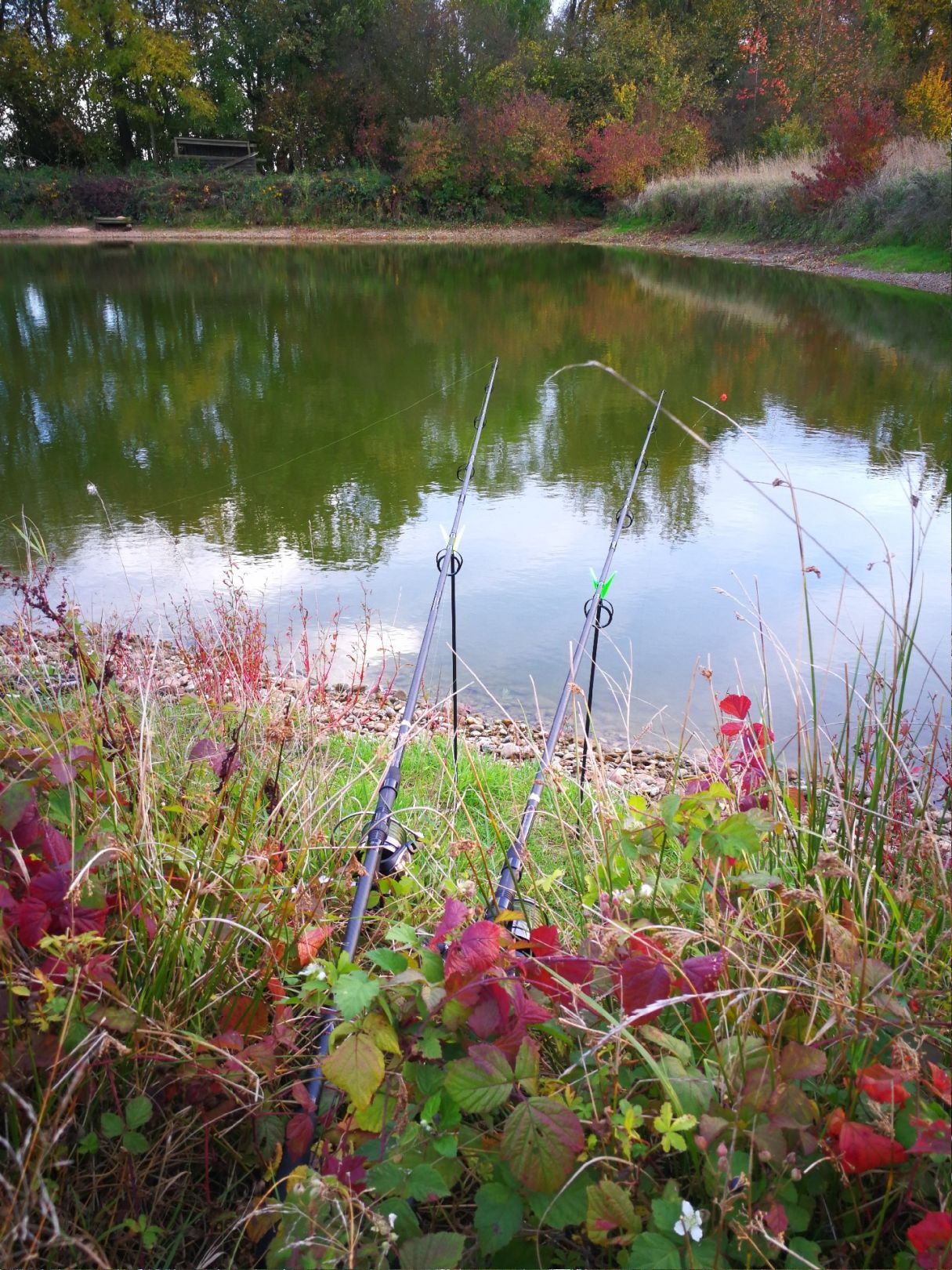 Altenbuch Weiher angeln