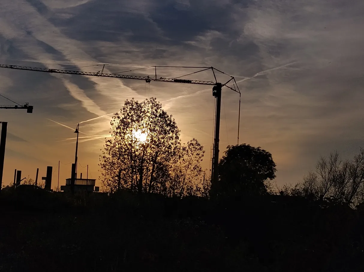 Waal (Dodewaard) angeln